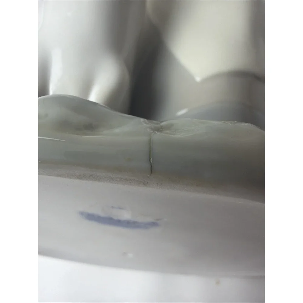 Rare Genuine LLADRO Porcelain‎ Girl Feeding Geese Spain 10 in. With Box